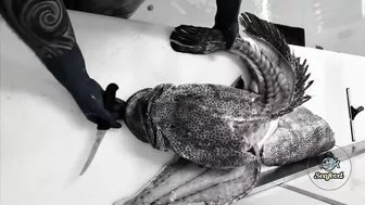 Amazing Live Fish Cutting Skills | Fish Cutting Compilation | fish cutting videos #seafood