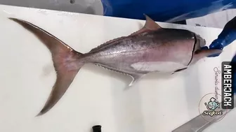 Amazing Live Fish Cutting Skills | Fish Cutting Compilation | fish cutting videos #seafood