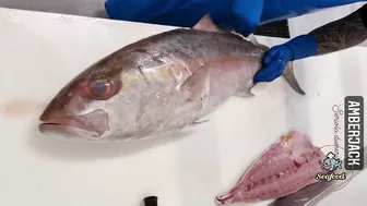 Amazing Live Fish Cutting Skills | Fish Cutting Compilation | fish cutting videos #seafood