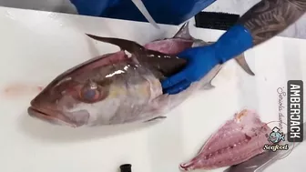 Amazing Live Fish Cutting Skills | Fish Cutting Compilation | fish cutting videos #seafood