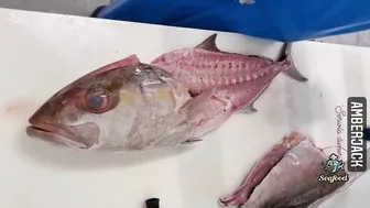 Amazing Live Fish Cutting Skills | Fish Cutting Compilation | fish cutting videos #seafood