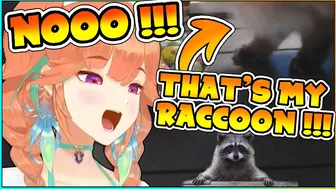 Kiara's "raccoon" enters the stream to eat some eggs