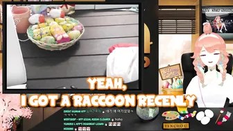 Kiara's "raccoon" enters the stream to eat some eggs