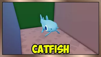 How to get CATFISH in Find The Animals | ROBLOX