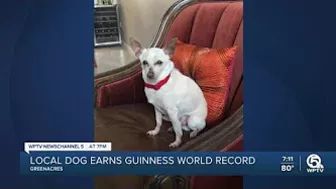 Palm Beach County dog earns Guinness World Record