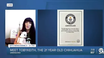 Palm Beach County dog earns Guinness World Record