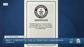 Palm Beach County dog earns Guinness World Record