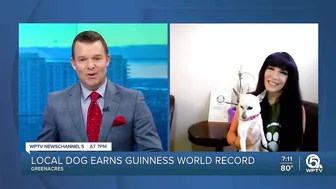 Palm Beach County dog earns Guinness World Record