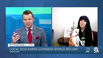 Palm Beach County dog earns Guinness World Record