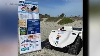 Beach cleaning robot will help keep Pinellas beaches beautiful this summer