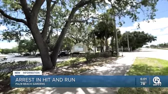 North Palm Beach man faces felony after admitting he ran over woman during road rage