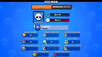 RARE ACCOUNT IN BRAWL STARS!???????? concept