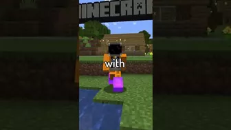 Only Minecraft experts would know about this (theory/secret)