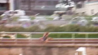 Kite Surfer Crashes On To The Beach