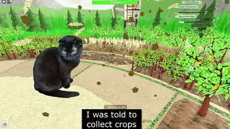 Cats always have been better than ducks | Roblox (TDS)