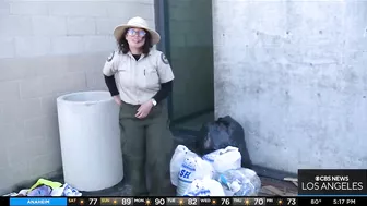 Volunteers gathered in Huntington Beach for beach cleanup