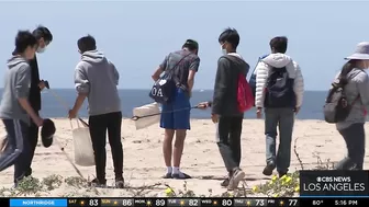 Volunteers gathered in Huntington Beach for beach cleanup