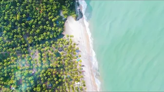 Thamban Kadavu Arappa Beach | Snehatheeram | Thrissur | 4K | Mallu Drone Traveller