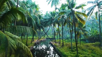 Thamban Kadavu Arappa Beach | Snehatheeram | Thrissur | 4K | Mallu Drone Traveller