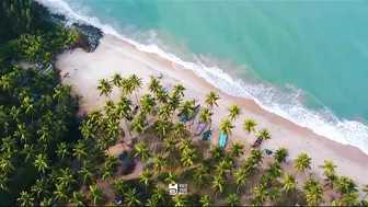 Thamban Kadavu Arappa Beach | Snehatheeram | Thrissur | 4K | Mallu Drone Traveller