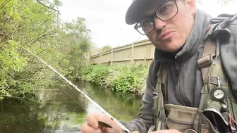 Small stream trout on Glass BFS rod