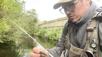 Small stream trout on Glass BFS rod