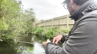 Small stream trout on Glass BFS rod