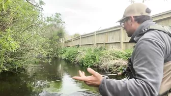 Small stream trout on Glass BFS rod