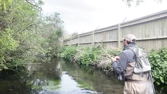 Small stream trout on Glass BFS rod