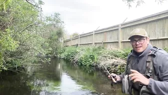 Small stream trout on Glass BFS rod