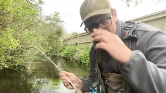 Small stream trout on Glass BFS rod