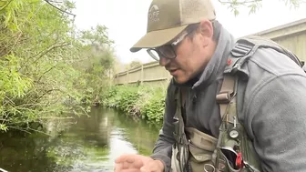 Small stream trout on Glass BFS rod