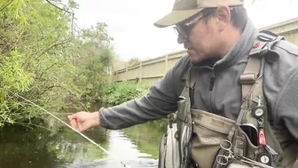 Small stream trout on Glass BFS rod