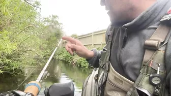 Small stream trout on Glass BFS rod