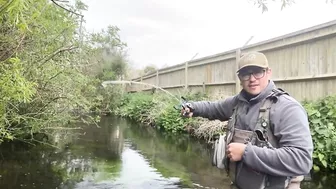 Small stream trout on Glass BFS rod