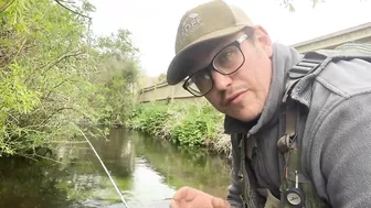 Small stream trout on Glass BFS rod