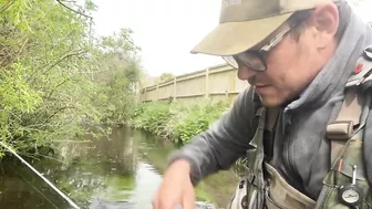 Small stream trout on Glass BFS rod