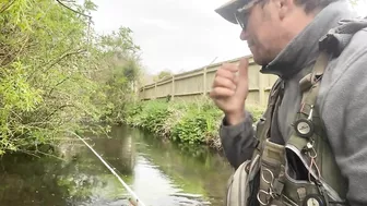 Small stream trout on Glass BFS rod