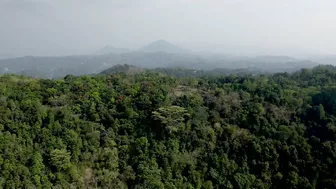 AYUBOWAN - Sri Lanka - Travel Video