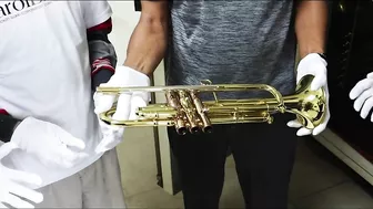 Andrea Giuffredi Trumpet Model /Carol Brass