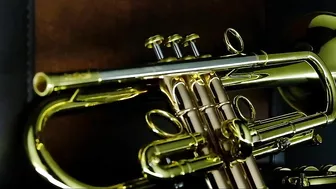 Andrea Giuffredi Trumpet Model /Carol Brass