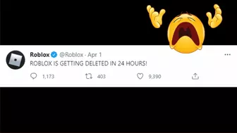 If ROBLOX Was DELETED In 24 Hours!????