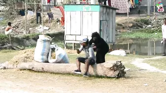 Fake Gorilla Attack Prank ???? Compilation || Best of 4 Minute Fun Prank (Part 3)