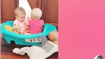 Funny Sibling Rivalry Compilation || Funny Babies