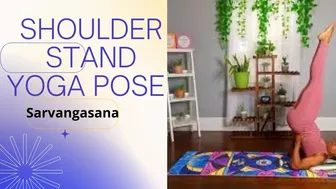 Shoulder stand yoga pose