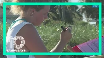 First nest spotted on a Florida beach during turtle nesting season