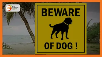 11yr old girl attacked by British national's dog at beach in Watamu