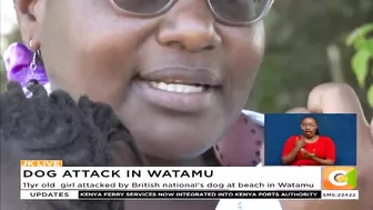 11yr old girl attacked by British national's dog at beach in Watamu