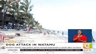 11yr old girl attacked by British national's dog at beach in Watamu