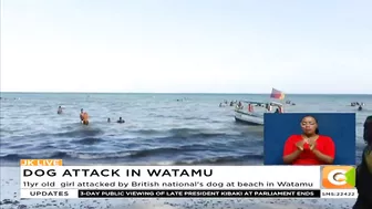 11yr old girl attacked by British national's dog at beach in Watamu